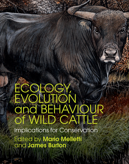 Ecology Evolution And Behaviour Of Wild Cattle 