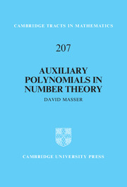 Auxiliary Polynomials in Number Theory