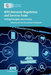 WTO Domestic Regulation and Services Trade