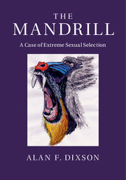The Mandrill