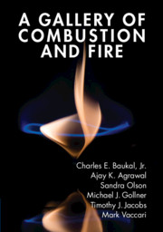 A Gallery of Combustion and Fire