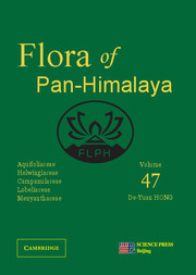 Aquifoliaceae, Helwingiaceae, Campanulaceae, Lobeliaceae, Menyanthaceae