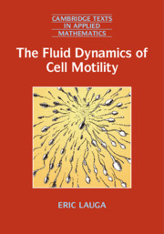 The Fluid Dynamics of Cell Motility