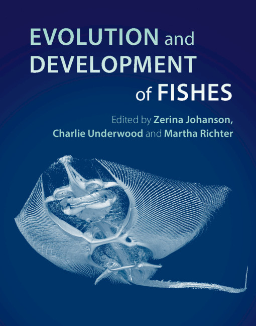 Fishes, eBook by Alfredo Carvalho Filho