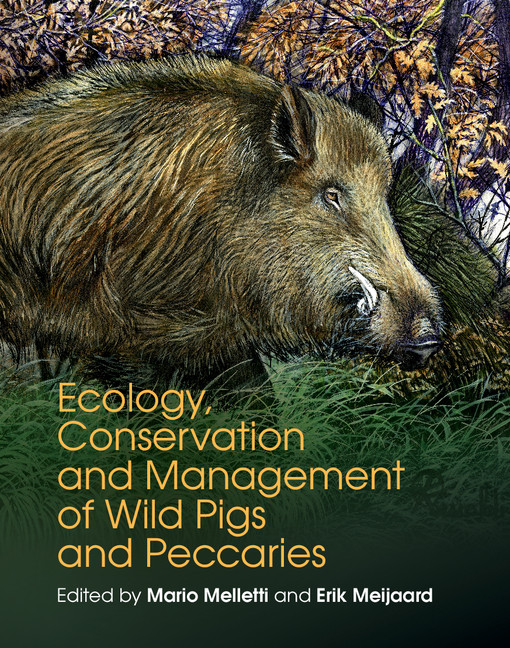 Species Accounts Part Ii Ecology Conservation And Management Of Wild Pigs And Peccaries