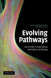Evolving Pathways