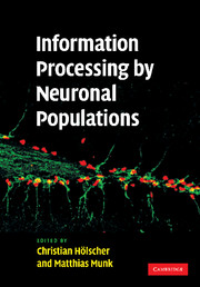 Information Processing by Neuronal Populations