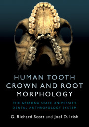Human Tooth Crown and Root Morphology