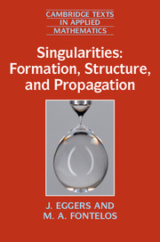 Singularities: Formation, Structure, and Propagation