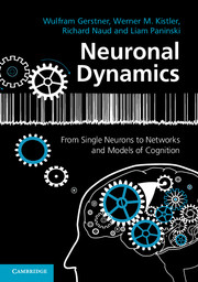 Neuronal Dynamics