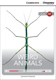 Weird Animals Low Intermediate