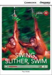 Swing, Slither, Swim Low Intermediate