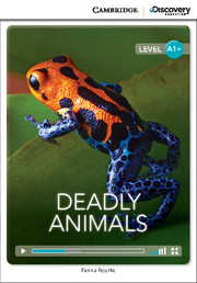 Deadly Animals High Beginning