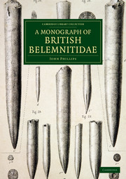 A Monograph of British Belemnitidae