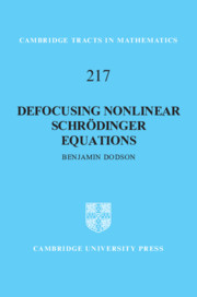 Defocusing Nonlinear Schrödinger Equations