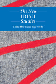 The New Irish Studies
