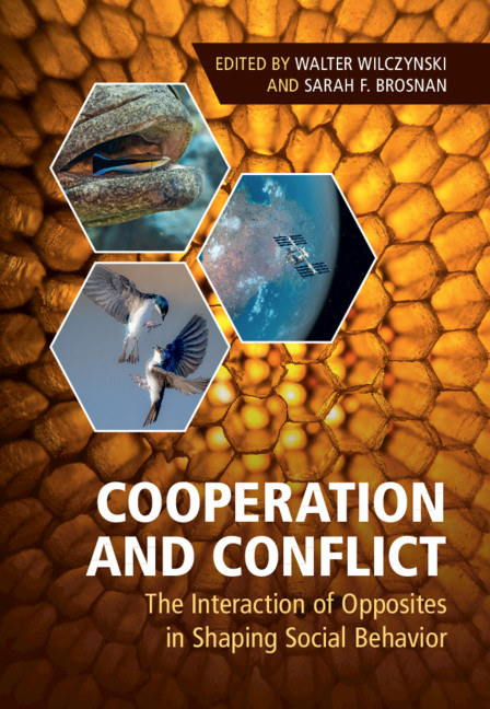 Cooperation And Conflict In International Relations (Chapter 1 ...