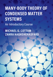 Many-Body Theory of Condensed Matter Systems