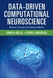 Data-Driven Computational Neuroscience
