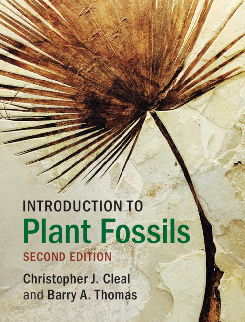 plant fossil