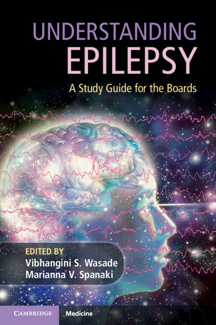Pathophysiology Of Epilepsy Flow Chart