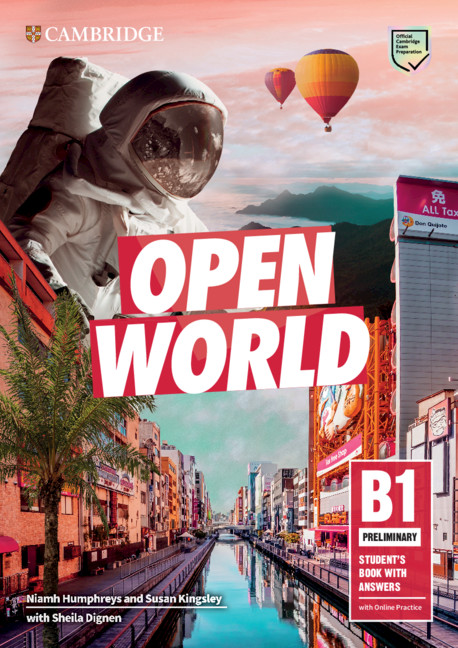 Open World Preliminary