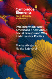 (Mis)Informed: What Americans Know About Social Groups and Why it Matters for Politics