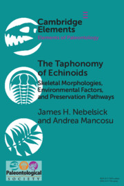 The Taphonomy of Echinoids