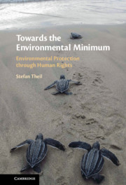Towards the Environmental Minimum