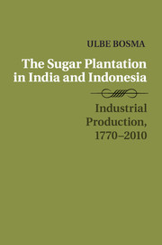 The Sugar Plantation in India and Indonesia