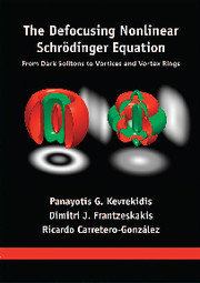 The Defocusing Nonlinear Schrödinger Equation